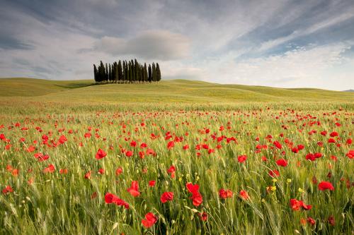Paesaggio