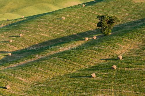 Rotoballe di fieno, valdorcia