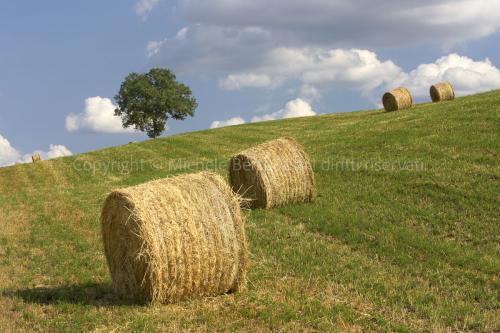 Rotoballe di fieno, valdorcia