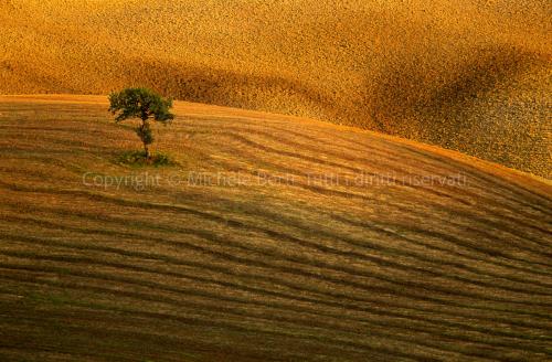 Paesaggio invernale in valdorcia