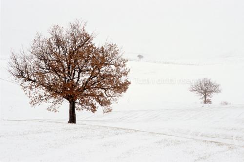 Paesaggio invernale con neve in valdorcia