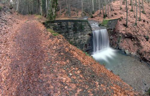 Piccola cascata lungo un torrente nel bosco