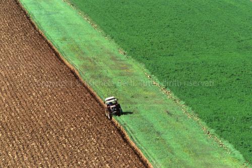 Un trattore al lavoro con il coltro in un campo della Valdichiana
