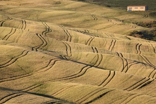 Campo di grano con casolare, valdorcia