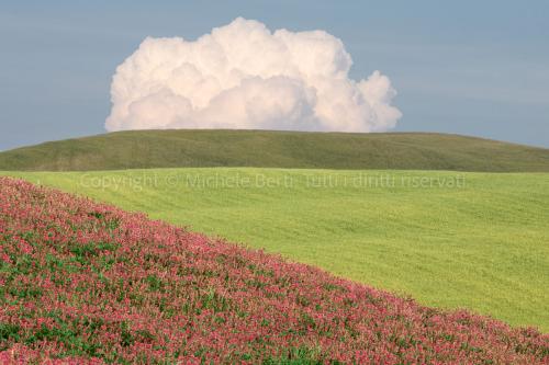 Paesaggio della valdorcia con campi in fiore 