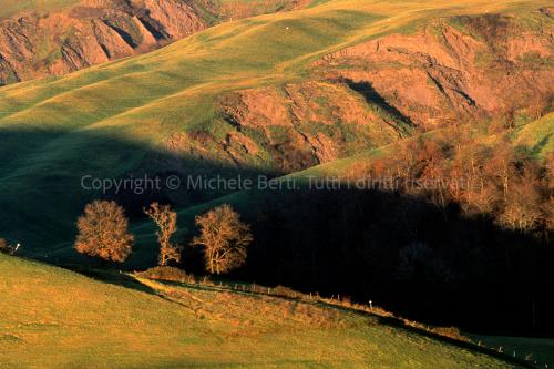 Paesaggio invernale delle crete senesi
