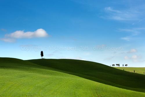 Paesaggio della valdorcia con cipressi