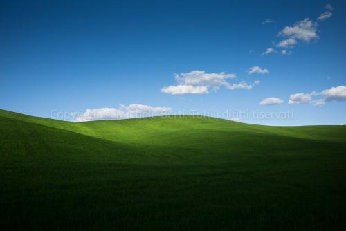 Un campo di grano della Val d'Orcia