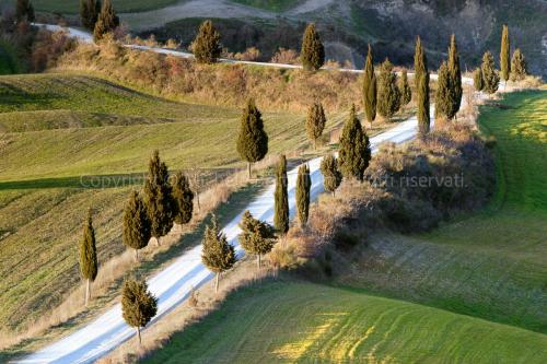 Strada sterrata con cipressi vicino a Pienza