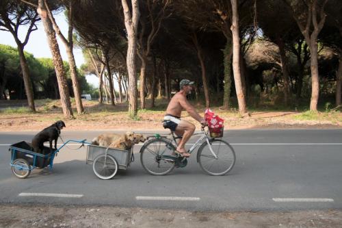Grosseto, Italy, 2014